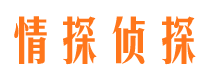 武侯侦探公司